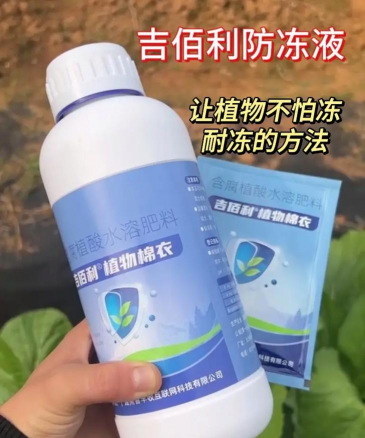 防治树冻伤物质,了解常见类型,掌握正确用法 防治树冻伤物质,了解常见类型,掌握正确用法