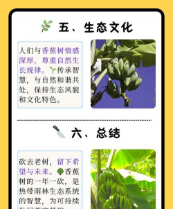香蕉树病虫防治,常见问题解析,实用方法分享 香蕉树病虫防治,常见问题解析,实用方法分享