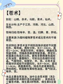苍术栽培技术,选对方法,轻松上手 苍术栽培技术,选对方法,轻松上手