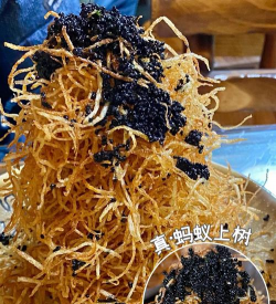 蚂蚁咬树怎么防治树,常见问题解析,实用方法分享 蚂蚁咬树怎么防治树,常见问题解析,实用方法分享