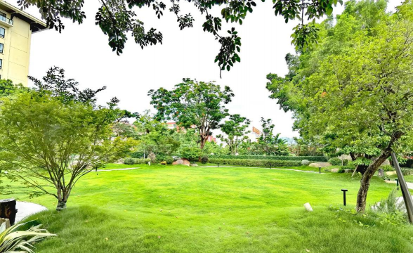 酒店入口绿化设计,提升第一印象,营造舒适氛围 酒店入口绿化设计,提升第一印象,营造舒适氛围