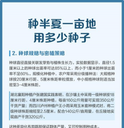 半夏栽培技术,掌握关键要点,轻松实现高产 半夏栽培技术,掌握关键要点,轻松实现高产