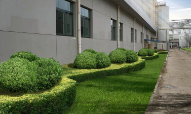 工厂绿化设计公司,提升厂区环境,打造绿色生产空间 工厂绿化设计公司,提升厂区环境,打造绿色生产空间