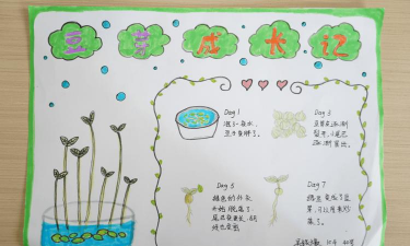 无土栽培资料,种植方法详解,新手也能轻松上手 无土栽培资料,种植方法详解,新手也能轻松上手