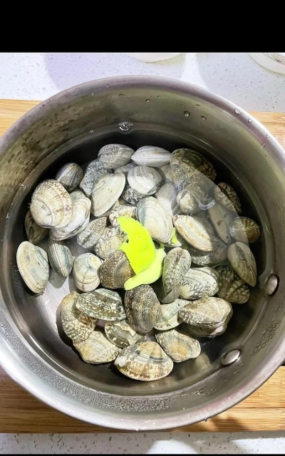 花蛤吐怎么养,快速吐沙技巧,新手也能轻松搞定 花蛤吐怎么养,快速吐沙技巧,新手也能轻松搞定