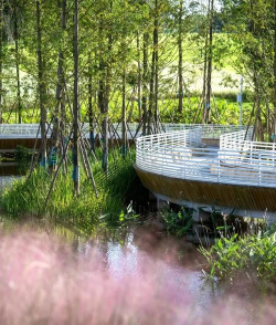 沿海植物绿化设计,应对盐碱环境,打造生态屏障 沿海植物绿化设计,应对盐碱环境,打造生态屏障