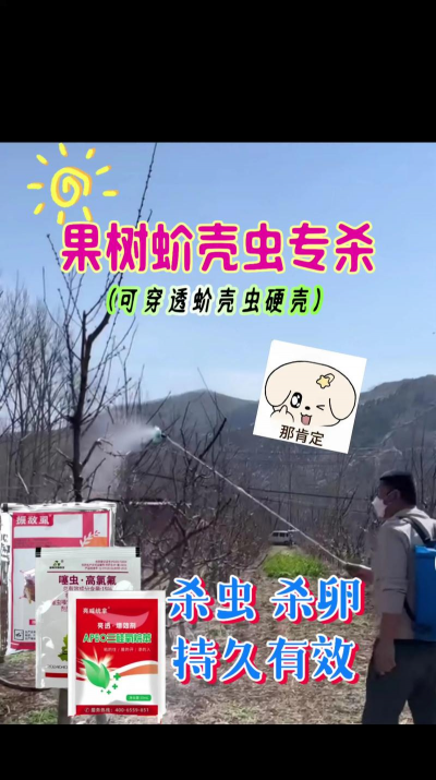 农场防治树病虫,识别常见问题,掌握有效方法 农场防治树病虫,识别常见问题,掌握有效方法