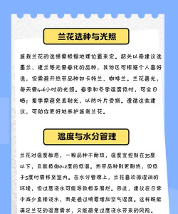蓝花韭怎么养,掌握关键技巧,轻松爆盆开花 蓝花韭怎么养,掌握关键技巧,轻松爆盆开花