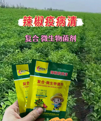 辣椒树防治药物,常见病害识别,高效用药指南 辣椒树防治药物,常见病害识别,高效用药指南