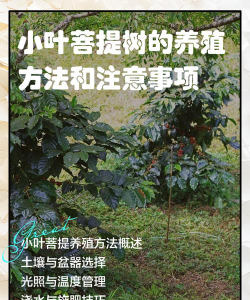 经济林栽培学,掌握核心要点,提升种植效益 经济林栽培学,掌握核心要点,提升种植效益