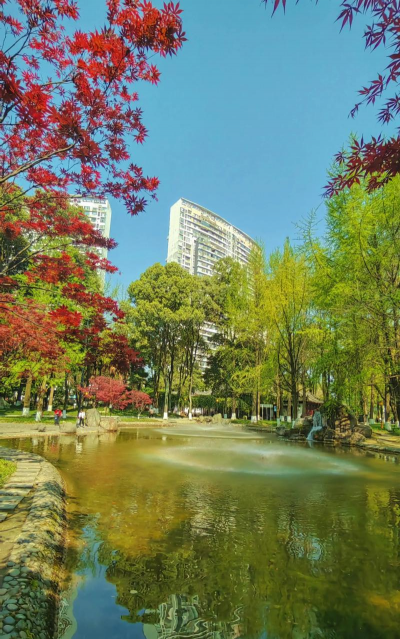 成都园林绿化设计,打造宜居环境,提升城市品质 成都园林绿化设计,打造宜居环境,提升城市品质