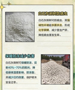 白灰树怎么防治,常见问题解析,实用方法分享 白灰树怎么防治,常见问题解析,实用方法分享