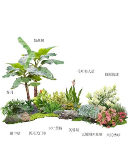 园林绿化设计依据,核心原则解析,实用指南分享 园林绿化设计依据,核心原则解析,实用指南分享