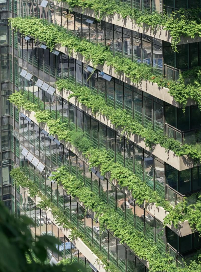 垂直绿化设计理念,打造立体生态,提升空间美感 垂直绿化设计理念,打造立体生态,提升空间美感