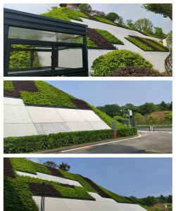 护坡立体绿化设计亮点,提升生态效果,优化景观体验 护坡立体绿化设计亮点,提升生态效果,优化景观体验