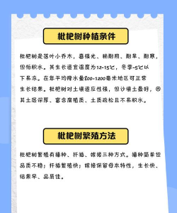 枇杷树白蚁防治,找准关键方法,保护果树健康 枇杷树白蚁防治,找准关键方法,保护果树健康