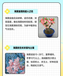 海棠树防治措施,常见问题解析,实用方法分享 海棠树防治措施,常见问题解析,实用方法分享