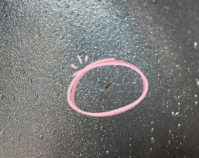 花后不粘锅怎么养,避免涂层脱落,延长使用寿命 花后不粘锅怎么养,避免涂层脱落,延长使用寿命