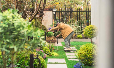 南宁园林绿化设计,打造宜居环境,提升城市品质 南宁园林绿化设计,打造宜居环境,提升城市品质