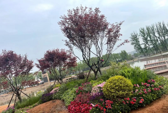 新疆园林绿化设计,打造特色景观,提升城市魅力 新疆园林绿化设计,打造特色景观,提升城市魅力