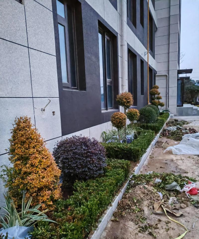 城市绿化设计施工,提升环境品质,打造宜居空间 城市绿化设计施工,提升环境品质,打造宜居空间