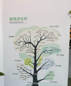 变异树怎么防治,识别早期迹象,采取有效手段 变异树怎么防治,识别早期迹象,采取有效手段