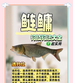 花鲢鱼该怎么养,掌握关键技巧,轻松应对常见问题 花鲢鱼该怎么养,掌握关键技巧,轻松应对常见问题