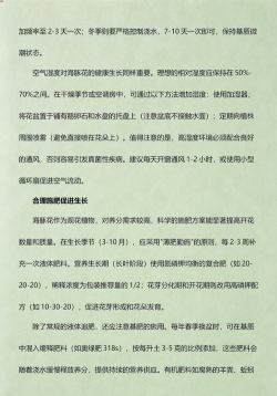 海豚花怎么养好,掌握关键技巧,轻松爆盆开花 海豚花怎么养好,掌握关键技巧,轻松爆盆开花