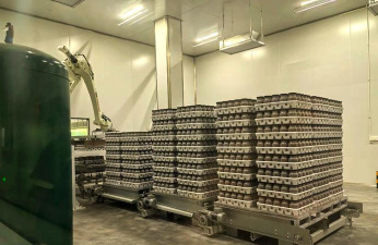 食用菌工厂化栽培,提升产量效率,实现稳定供应 食用菌工厂化栽培,提升产量效率,实现稳定供应