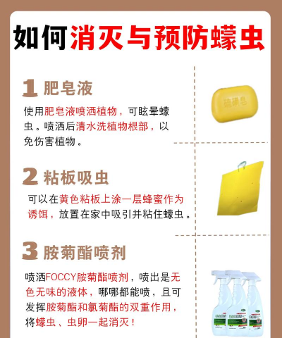 树鼩如何防治,常见问题解析,实用方法分享 树鼩如何防治,常见问题解析,实用方法分享