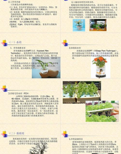 无土栽培吗,常见疑问,解决方向 无土栽培吗,常见疑问,解决方向