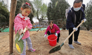 古树防治新闻,关注树木健康,了解保护动态 古树防治新闻,关注树木健康,了解保护动态