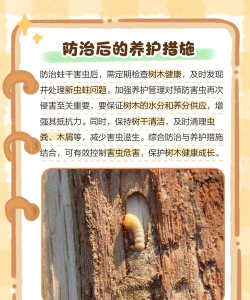 板栗树防治蛀虫,常见虫害识别,有效防治方法 板栗树防治蛀虫,常见虫害识别,有效防治方法