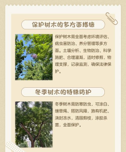 绿化树防治,常见问题,实用方法 绿化树防治,常见问题,实用方法