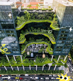 垂直绿化设计图,打造立体花园,提升空间美感 垂直绿化设计图,打造立体花园,提升空间美感