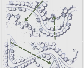 道路绿化设计说明书,核心要点解析,新手也能看懂 道路绿化设计说明书,核心要点解析,新手也能看懂