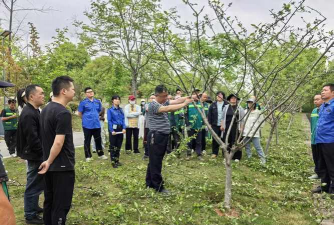 园林绿化设计培训班,提升专业技能,掌握实用技巧 园林绿化设计培训班,提升专业技能,掌握实用技巧