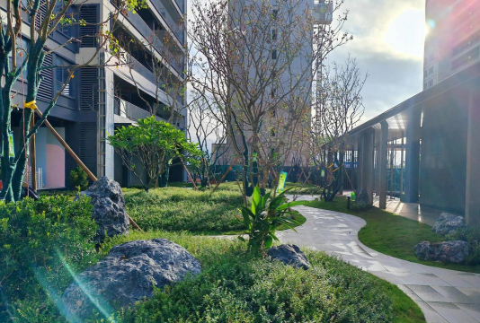 住宅小区绿化设计规范,提升居住品质,打造宜居环境 住宅小区绿化设计规范,提升居住品质,打造宜居环境