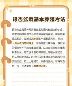 银杏树栽培技术,掌握关键步骤,轻松种出健康大树 银杏树栽培技术,掌握关键步骤,轻松种出健康大树