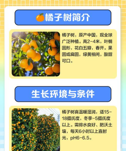 脐橙早衰树防治,找准原因,对症下药 脐橙早衰树防治,找准原因,对症下药