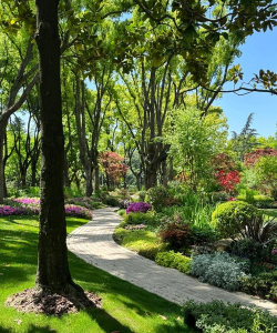 上海园林绿化景观设计,提升城市美感,改善居住环境 上海园林绿化景观设计,提升城市美感,改善居住环境