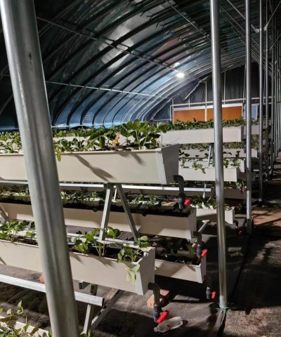 无土栽培槽,搭建方法,新手也能上手 无土栽培槽,搭建方法,新手也能上手