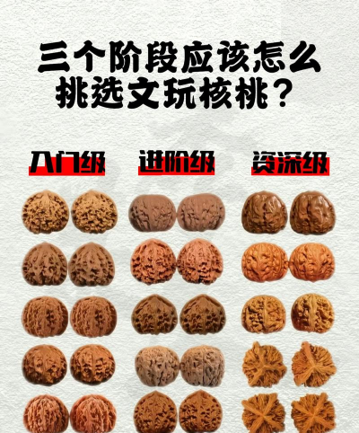 核桃的栽培,选对品种,掌握关键技巧 核桃的栽培,选对品种,掌握关键技巧