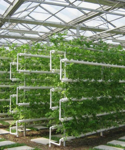 无土栽培设备价格,了解市场行情,掌握选购技巧 无土栽培设备价格,了解市场行情,掌握选购技巧