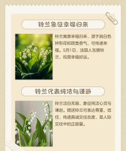 重瓣风铃花怎么养,掌握四个关键,花开满枝头 重瓣风铃花怎么养,掌握四个关键,花开满枝头