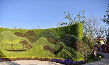 汇展绿化设计,提升展会效果,打造绿色空间 汇展绿化设计,提升展会效果,打造绿色空间