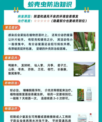 观赏树害虫防治,常见虫害识别,有效治理方法 观赏树害虫防治,常见虫害识别,有效治理方法