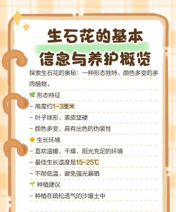 生石花怎么养掰开,掌握正确方法,避免损伤植株 生石花怎么养掰开,掌握正确方法,避免损伤植株