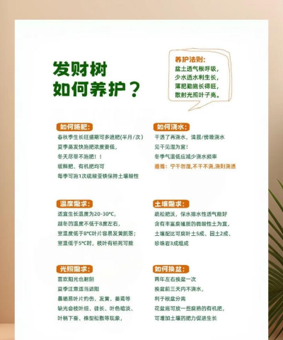 发财树的栽培方法,新手入门指南,轻松养活不发愁 发财树的栽培方法,新手入门指南,轻松养活不发愁