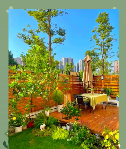 绿化设计美观,提升居住体验,打造理想家园 绿化设计美观,提升居住体验,打造理想家园